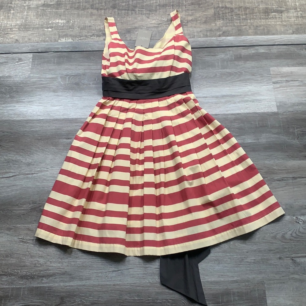 Anthropologie Coreylynncalter cotton dress striped 2 NWT